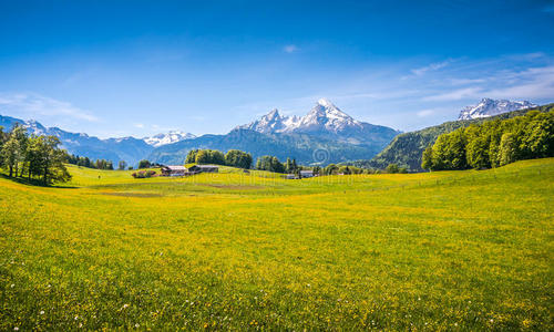 奥地利 欧洲 盛开 农舍 领域 封顶 假期 丘陵 局域网