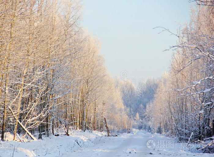 雪域公路