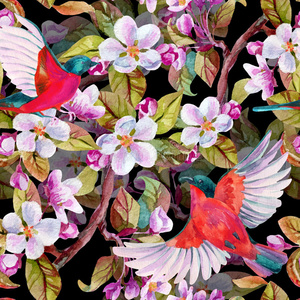 苹果开花和飞鸟。