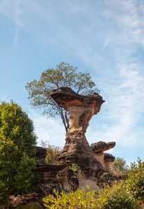 秋天 美丽的 全景图 公园 悬崖 国家的 森林 峡谷 乡村