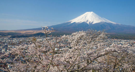 富士山