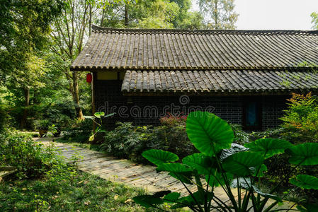 木板 伍兹 住宅 住处 瓷器 伍迪 房子 路面 铺板 阴影