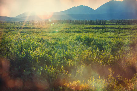 徒步旅行 环境 总和 浪漫的 风景 颜色 自然 加拿大 阿拉斯加