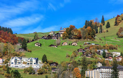 自然 乡村 村庄 风景 欧洲 建筑 瑞士人 房子 阿尔卑斯山