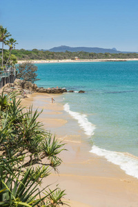 海滩 海洋 太平洋 求助 拉古纳 昆士兰 酒店 海湾