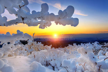 美丽的 早晨 天空 森林 南方 韩国 小山 季节 全景 全景图