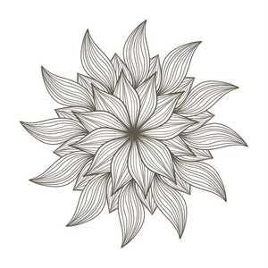 植物学 曼陀罗 绘画 开花 盛开 单色 花的 成人 奥纳特