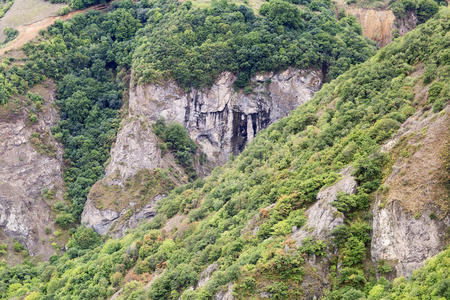 悬崖峭壁 下一个 岩石 小山 植物 斜坡 野生动物 薄雾