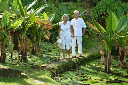 热带花园里的一对老年夫妇