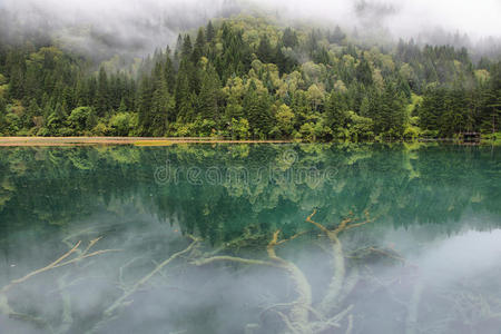 箭竹湖我在九寨沟，中国，亚洲