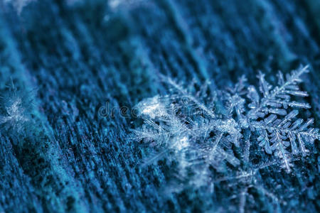 真实的 寒冷的 鳞片 美丽的 自然 季节 雪花 纹理 粒子