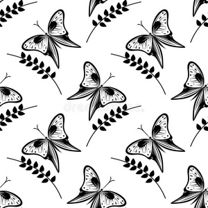 涂鸦 绘画 插图 昆虫 航班 蝴蝶 美丽的 艺术 织物 特写镜头