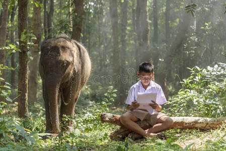 面对 环境 眼睛 大象 阅读 美丽的 森林 小孩 文化 教育
