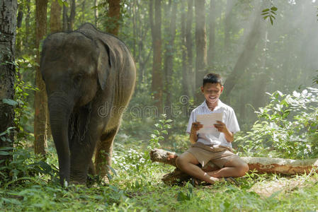 男孩 亚洲 眼睛 自然 教育 森林 阅读 保护 可爱的 哺乳动物