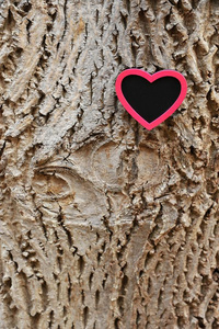 浪漫的 友谊 约会 木板 卡片 树皮 问候语 结婚 可爱的