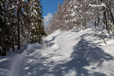 阿尔卑斯山 徒步旅行 风景 求助 滑雪 公园 冰冷的 朱利安