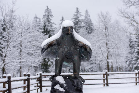 美国鹰铜雕像被雪覆盖