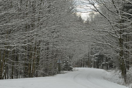 积雪路面