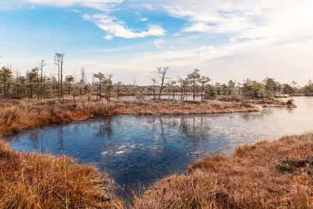 苏格兰人 旅游业 场景 波罗的海 环境 欧洲 冷冰冰的 自然