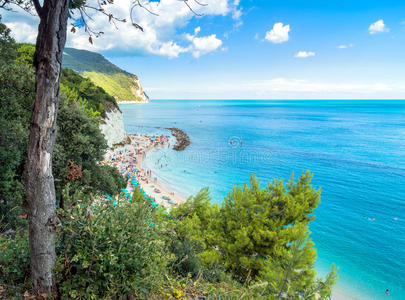 假期 亚得里亚海 意大利 和平 风景 悬崖 公司 岩石 卡片