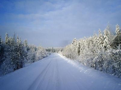穿过森林的冬季道路