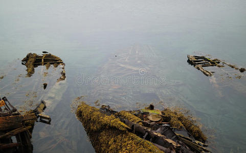 一艘有藻类和苔藓的沉船
