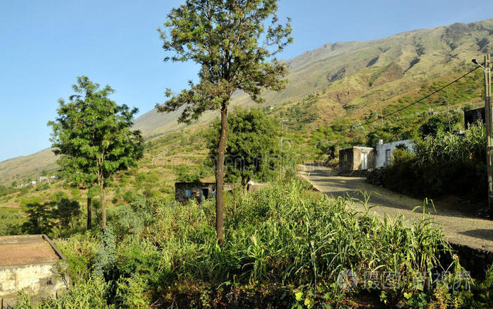 植被 里贝拉 农田 风景 家园 自然 卡波 丝线 共和国