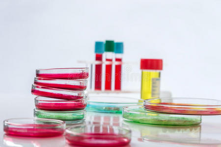细菌 健康 流行病 生物化学 临床 化学 生物学 医学 实验室