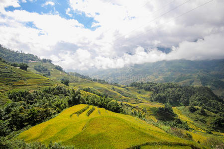 外部 风景 生产 种植园 生态学 自然 高地 吸引力 土地