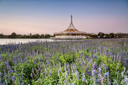 天空 自然 美丽的 水塘 风景 曼谷 公园 土地 拉玛 建筑学