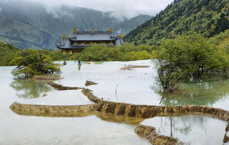 国家的 秋天 瓷器 早晨 森林 美女 公园 方解石 地点