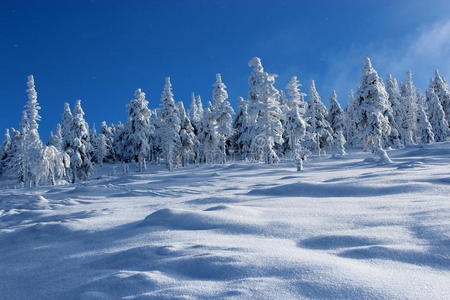 自然 酸的 摧毁 波兰 寒冷的 地平线 闲暇 假日 圣诞节