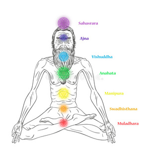 冥想 印第安人 启蒙运动 健康 阿育吠陀 印度教 身体 和谐