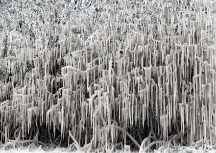 外观 寒冷的 纹理 尖峰 自然 指向 汽车 灌木 冰柱 解冻