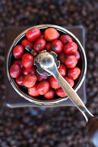 咖啡豆在咖啡磨床上成熟