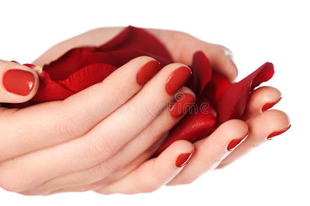 美丽的女性手指指甲，红色指甲特写在花瓣上。 p