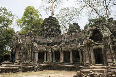 风景 柬埔寨 收获 班蒂 被遗弃的 旅游业 宗教 寺庙 公司
