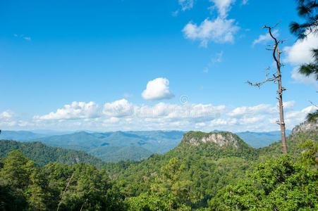 山地景观