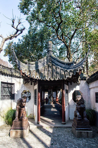 住宅 瓷器 中国人 亚洲 海滨 城隍庙 屋顶 园林绿化 柳树