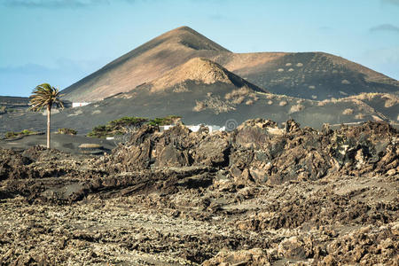 熔岩 风景 金丝雀 喷发 海洋 公园 加拿大人 西班牙语