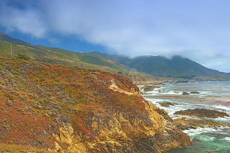 悬崖 岩石 海景 海洋 小海湾 开花 与世隔绝 风景 盛开