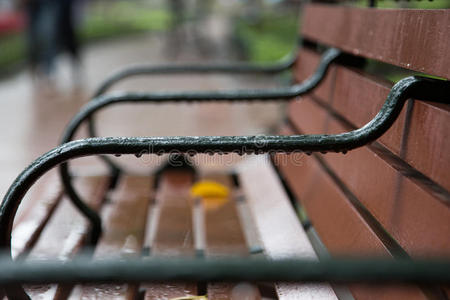 雨后关闭公园里的一张长凳