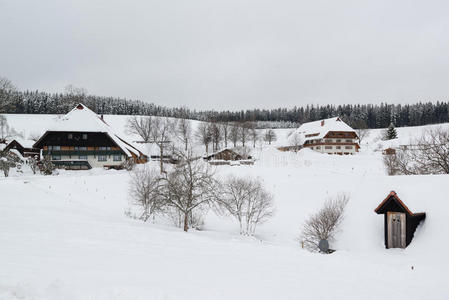自然 假日 一月 建筑 海洋 德国 森林 小屋 房子 寒冷的