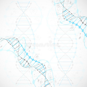 疾病 进化 健康 染色体 医疗保健 曲线 化学 代码 绘图