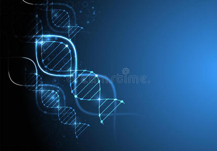 解剖 人类 插图 图表 想象 化学 染色体 个人 生物技术