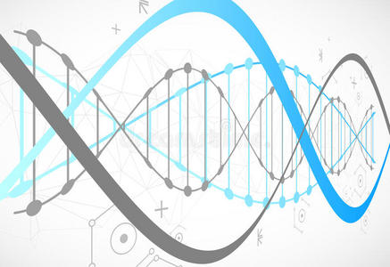 染色体 化学 疾病 进化 代码 偶像 曲线 生物技术 解剖