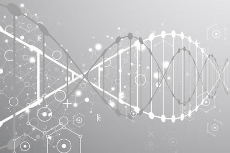 身体 代码 曲线 基因组 解剖 插图 生物技术 解剖学 构思