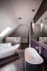 浴缸 洗澡 下沉 房间 洗手间 公寓 建筑学 卫生 厕所