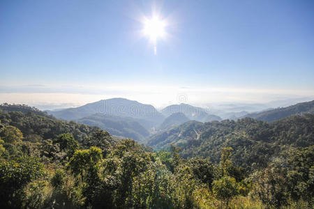 森林 攀登 泰国 徒步旅行 土地 早晨 岩石 吸引力 旅游