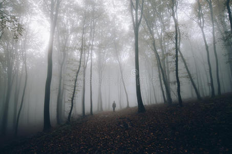 魔术 神秘的 恐怖 风景 噩梦 落下 自然 男人 诡异的